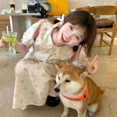 两只老虎